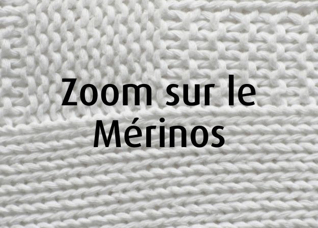 Zoom sur le Mérinos